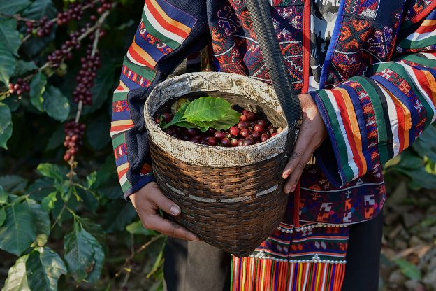 From Ethiopia with Love